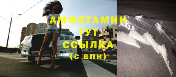 прущие грибы Аркадак