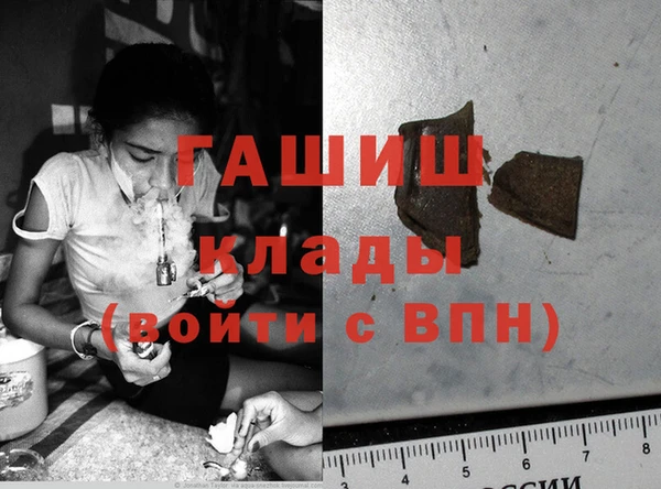 прущие грибы Аркадак