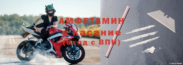 прущие грибы Аркадак
