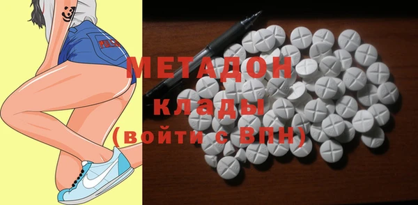прущие грибы Аркадак