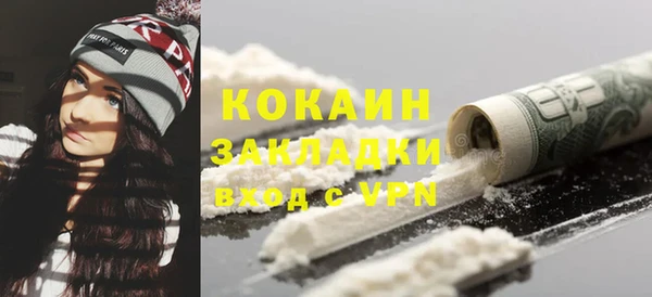 прущие грибы Аркадак