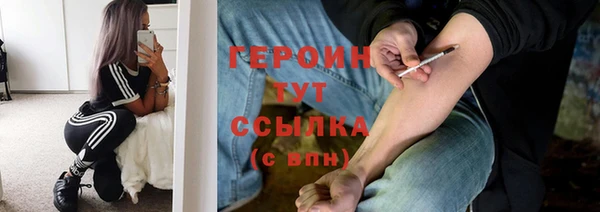 прущие грибы Аркадак