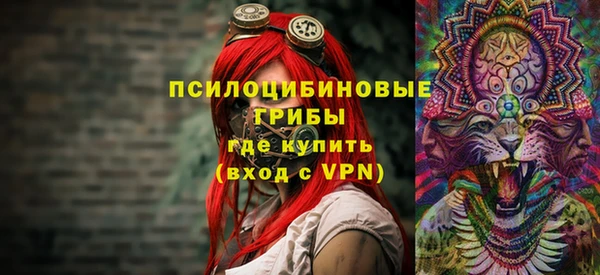 прущие грибы Аркадак