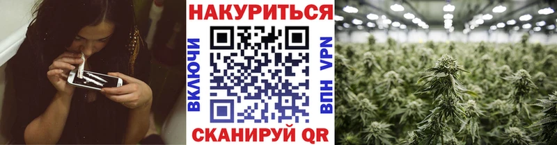 нарко площадка какой сайт  Сальск  Канабис семена 